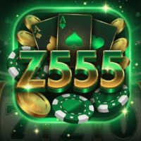 z555 game logo